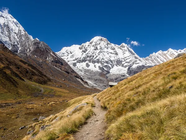 Annapurna South from the Sanctuary, between MBC and ABC