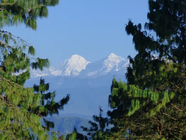 Ganesh Himal seen from Chisapani, between the pines
