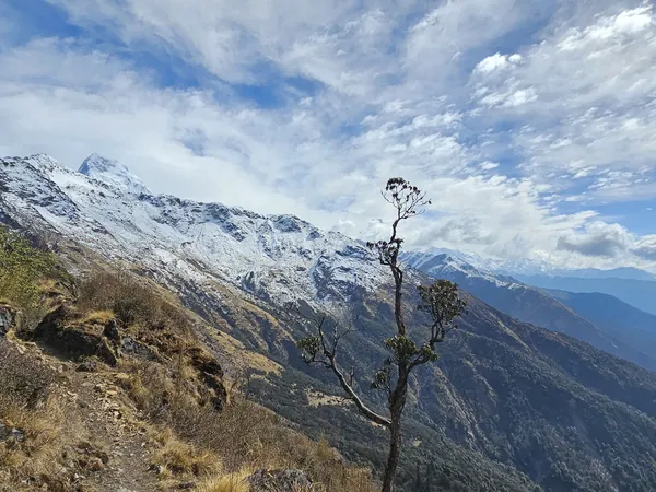 On the trail to Khopra