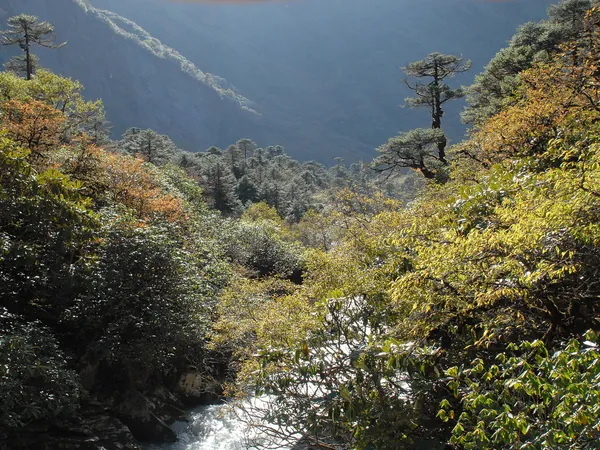 The Isuwa Khola valley, Makalu-Barun National Park