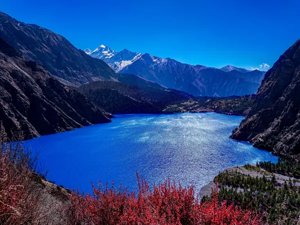 The turquoise waters of Phoksundo Lake